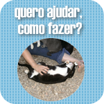 Seja volunt&aacute;rio