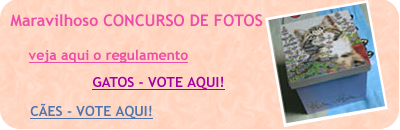 Concurso de Fotos