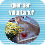 Seja volunt&aacute;rio