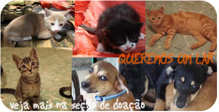 Queremos um lar